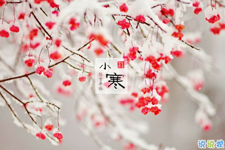 2019小寒節(jié)氣的說說大全唯美有詩意 小寒節(jié)氣發(fā)朋友圈的說說1