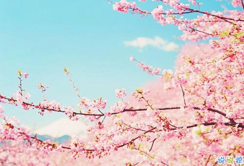 2019過(guò)年說(shuō)說(shuō)心情短語(yǔ)發(fā)朋友圈 微信朋友圈過(guò)年的說(shuō)說(shuō)2