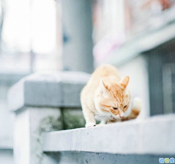 關于一個人旅行的精辟哲理說說帶圖片 每一次旅行其實都是一場修行7