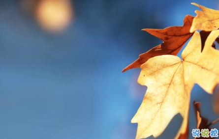 幾米經(jīng)典語錄關(guān)于愛情說說帶圖片：當(dāng)我想你的時候，你會不會也剛好正在想我16