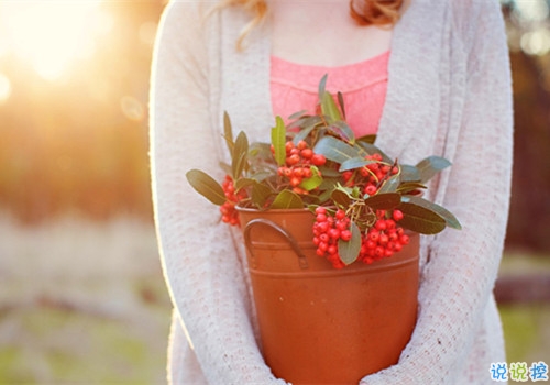 姑娘，我有15句悄悄話說給你聽。12