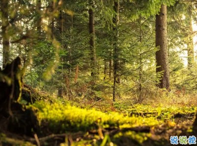 很現(xiàn)實(shí)的人生感悟經(jīng)典句子 人生感悟句句精辟帶圖片3