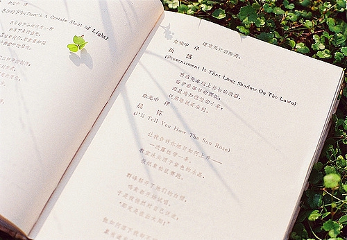 關于夏天的唯美文藝說說帶圖片 夏有彤云蔚然成風5