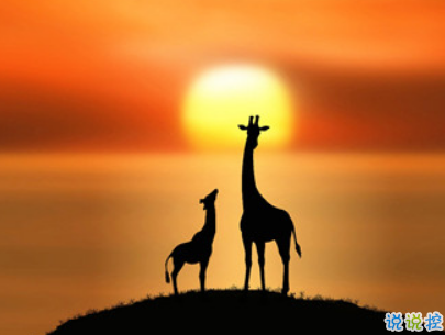 2019復活節(jié)祝福語英文大全帶翻譯配圖 復活節(jié)快樂說說致所有人5