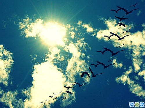 女生個性說說經(jīng)典霸氣帶圖片 知道自己不討喜那就乖一點(diǎn)5