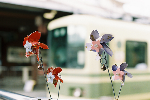 超唯美文藝的說說帶圖片 你看沒看見我都盛開風(fēng)來不來芬芳都在9