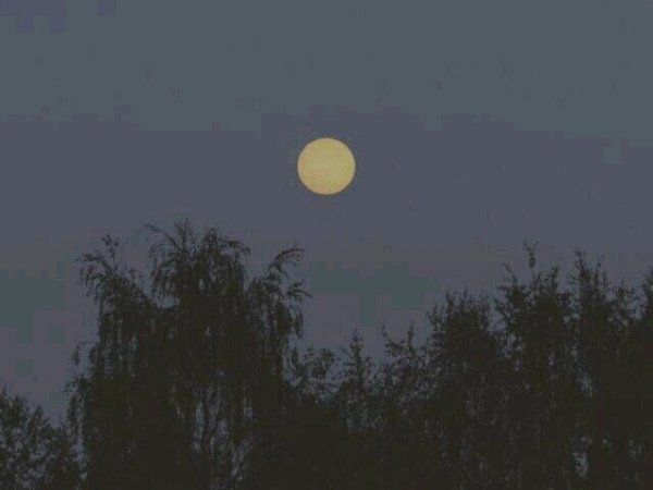 關于人生和夢想的很現(xiàn)實的經典哲理說說帶圖片8