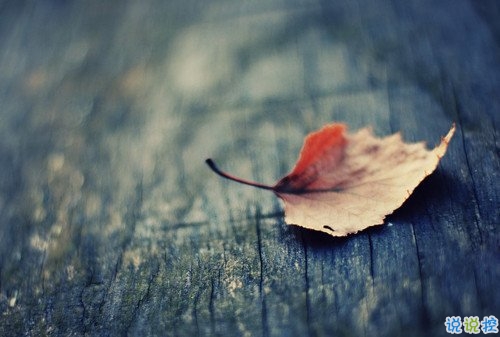 2019最新qq經(jīng)典說說帶圖片 句句真理值得學(xué)習(xí)的說說14