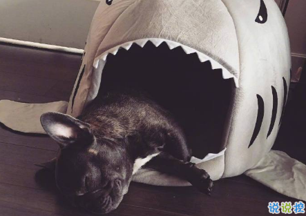 qq空間郁悶說說配圖傷感:有時(shí)自己也捉摸不透自己1