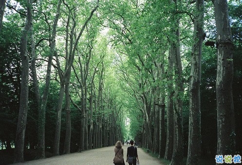 qq說(shuō)說(shuō)傷感女生帶絕情配圖 是真的感到心好累說(shuō)說(shuō)帶圖片1