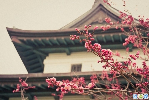 比較特別的女生說說2019精選帶圖片 忍不住想點(diǎn)贊的女生說說12