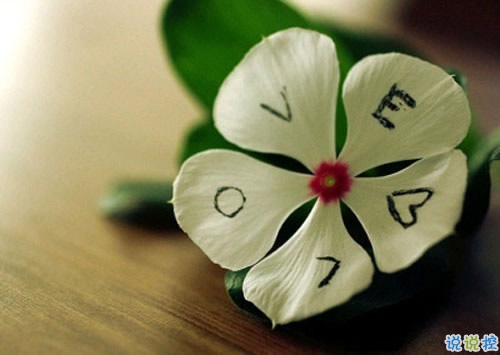 致自己的人生經(jīng)典說說帶圖片 最新朋友圈經(jīng)典說說人生哲言10