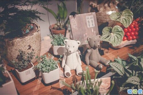 2019情人節(jié)一個(gè)人過的說說帶圖片 情人節(jié)傷感心情說說配圖14