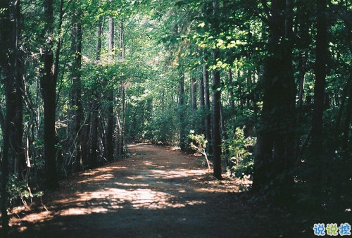 可以發(fā)朋友圈的早安勵(lì)志心語大全2018 很經(jīng)典的勵(lì)志說說帶圖片6