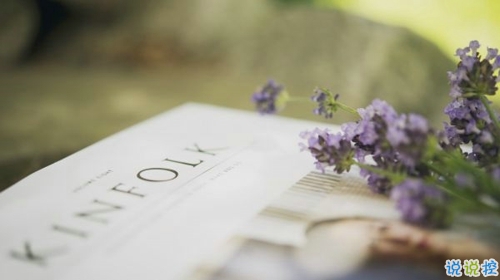 生活很現(xiàn)實(shí)的說(shuō)說(shuō)經(jīng)典句子 多些付出少些期待2