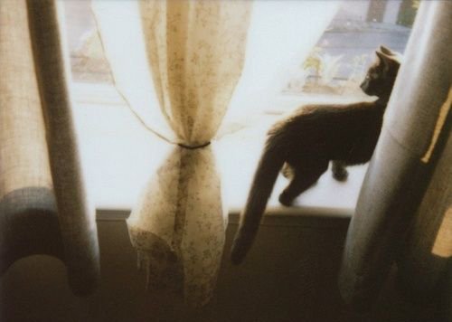 關(guān)于愛情的有些傷感難過(guò)的說(shuō)說(shuō)帶圖片 遇你之后步步都難走14