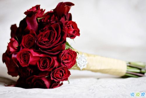 對(duì)愛一往情深的經(jīng)典說(shuō)說(shuō)帶圖片 文藝愛情小短句表達(dá)愛意3