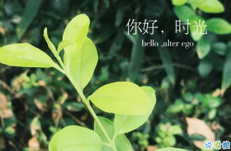 朋友圈微商經(jīng)典語(yǔ)錄加配圖2018 朋友圈微商勵(lì)志經(jīng)典語(yǔ)錄帶圖片6