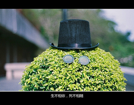 超傷感難過悲傷的愛情說說 你是我枯水年紀里的一場雨1