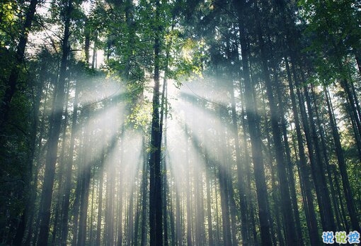 鼓舞我們不斷努力的經(jīng)典勵(lì)志圖片說說 太勵(lì)志了最經(jīng)典的說說帶圖片20182