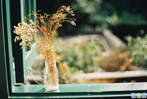 很有哲理的英文個性說說帶翻譯 有道理的精辟英文說說2