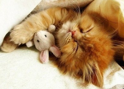 空間傷感說(shuō)說(shuō)帶圖3