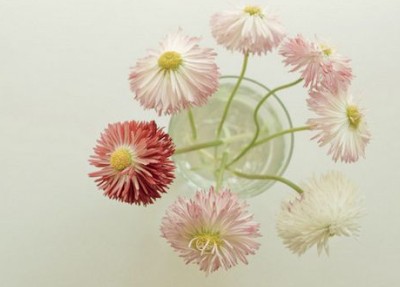 有意境的說(shuō)說(shuō)帶圖片6