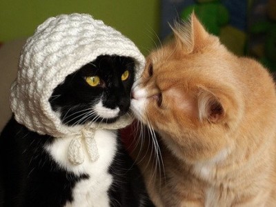 甜蜜說說帶圖片6