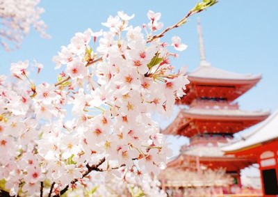 文字控帶圖說說4