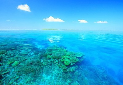 文字控帶圖說說6