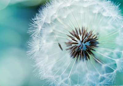 帶圖片的女生說說：百毒不侵的女漢子，哪個(gè)以前不是心軟成病