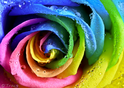 小清新說(shuō)說(shuō)圖片大全5