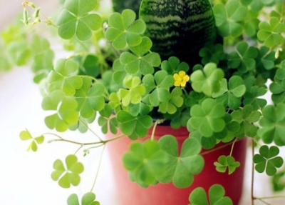 唯美古風句子配圖片7