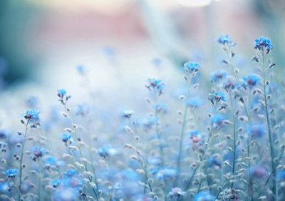 唯美古風句子配圖片2