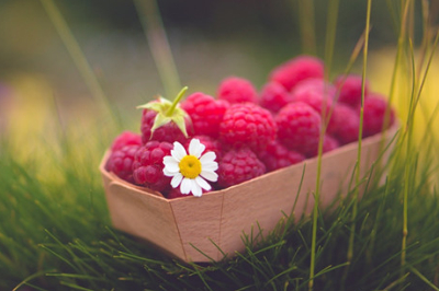 唯美古風句子配圖片3