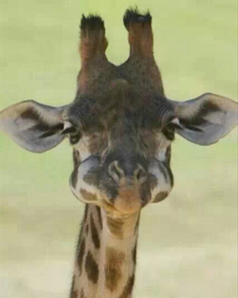 微信說說帶圖片：這個世界，看你二的人很多，陪你二的人很少10