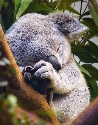 2015最新圖片說(shuō)說(shuō)大全3