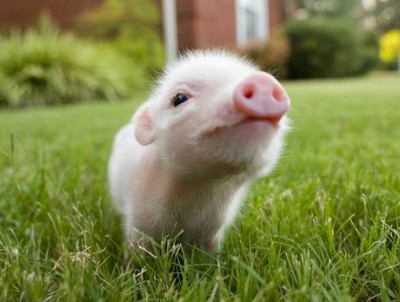 QQ空間搞笑說說帶圖片：誰說金錢買不來時間？網(wǎng)管，加兩塊錢！