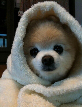 超拽說說帶圖片2