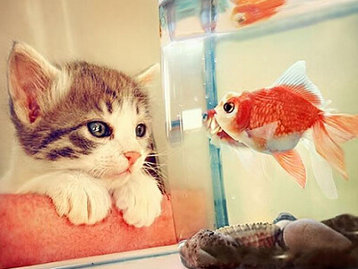 詩(shī)意的說說圖片大全1