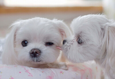 詩(shī)意的說說圖片大全5