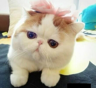 內(nèi)涵說說帶圖片2