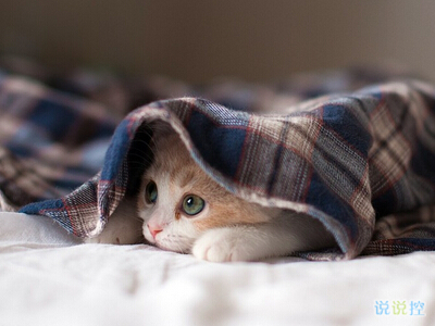 內(nèi)涵說說帶圖片：看過了你喜歡的人，才知道我是敗給了你的品位