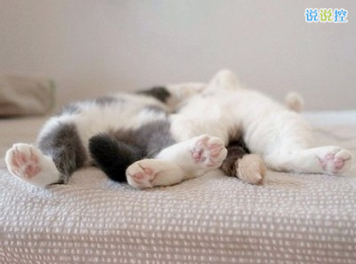 有哲理的句子帶圖片3