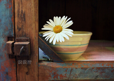 好聽(tīng)的英文說(shuō)說(shuō)帶圖片，有圖片的英文說(shuō)說(shuō)心情短語(yǔ)2