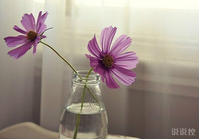 好看的空間說說帶圖片1