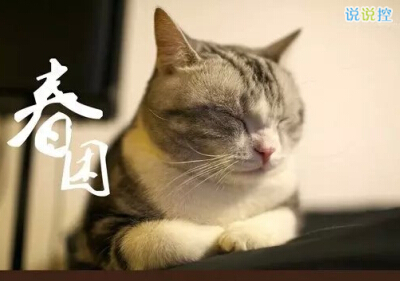 個(gè)性說說大全帶圖片4