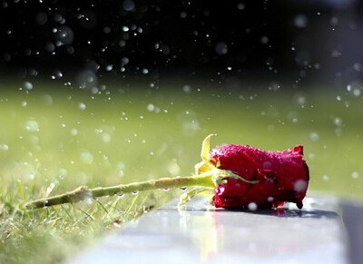 QQ空間說說圖片1