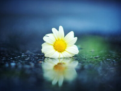 傷心的說說帶圖片1