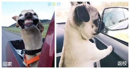 帶圖搞笑說說2 帶圖搞笑說說2